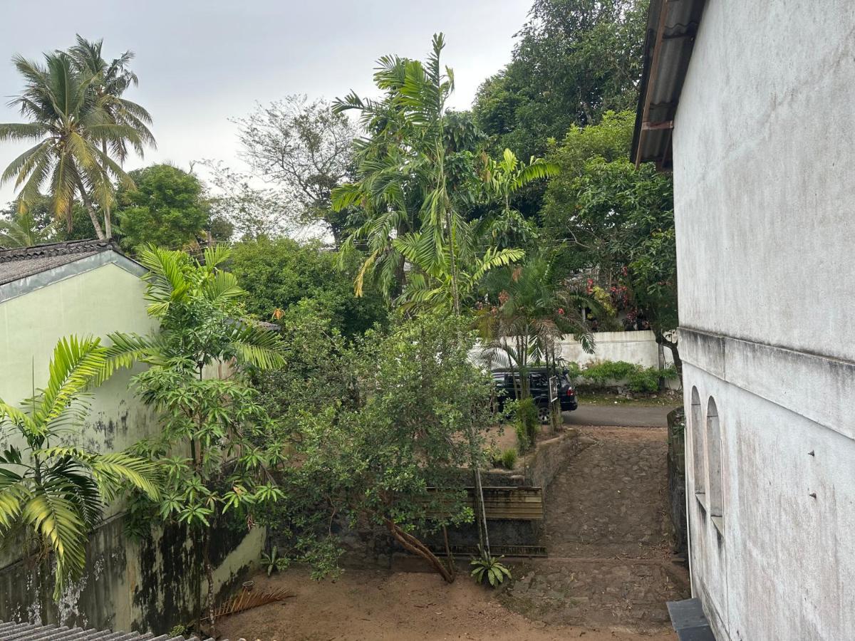 Mango Tree Budget Home Stay Homagama Extérieur photo