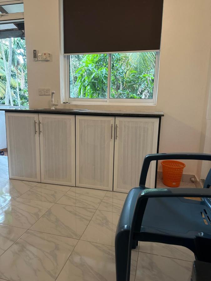 Mango Tree Budget Home Stay Homagama Extérieur photo
